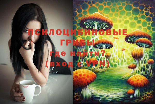 PSILOCYBIN Вяземский