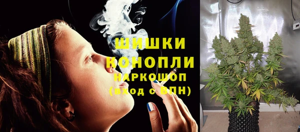 марки lsd Новозыбков