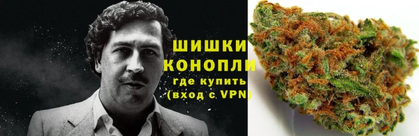 каннабис Новодвинск