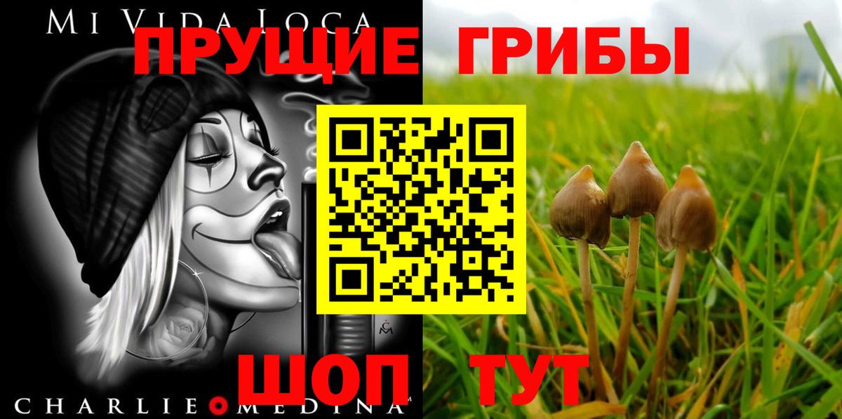 Галлюциногенные грибы Psilocybe  Шумерля 