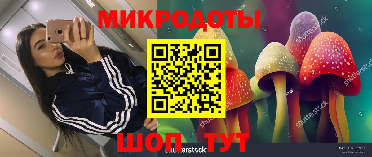 где можно купить   Галлюциногенные грибы Psilocybe  Шумерля  Вход с VPN  Галлюциногенные грибы прущие грибы 